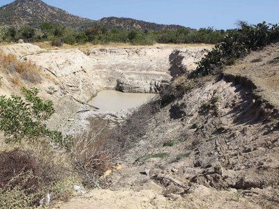 Phát triển Điện lực Việt Nam (VPD): Khó khăn vì thủy văn bất lợi