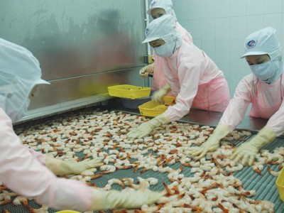 MPC đầu tư thêm 280 tỷ đồng vào Minh Phú - Lộc An