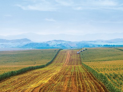 BAC A BANK phát triển bền vững với tín dụng xanh