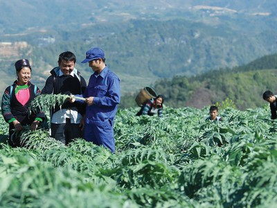 Tiên phong đầu tư cho dược liệu sạch: Traphaco vững bước vào kênh ETC 