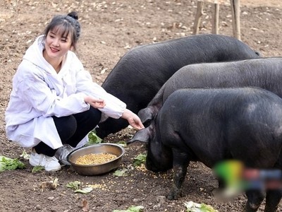 Zhang Zhiyuan. Ảnh: Sinchew.