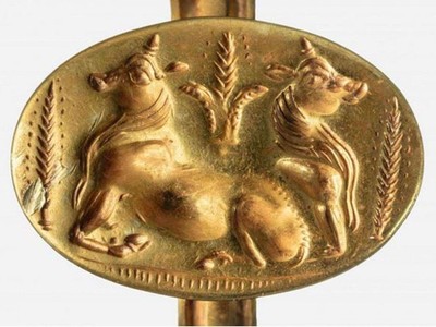 Hình ảnh vật nuôi và lúa mạch đầu tiên được phát hiện từ thời Hy Lạp cổ đại. Đại học Cincinnati.