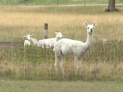 Hòn đảo nguy hiểm nhất nước Đức