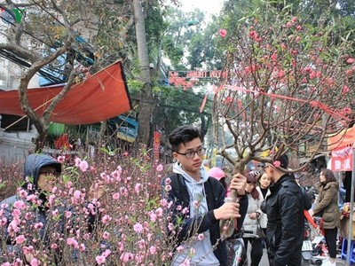 Chợ hoa xuân phố cổ Hàng Lược, quận Hoàn Kiếm.