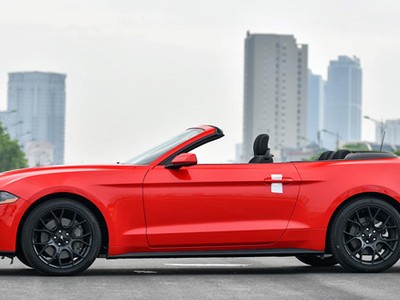 Ford Mustang Convertible 2018 vừa cơ bắp lại rất thời trang nhờ thiết kế mui trần.