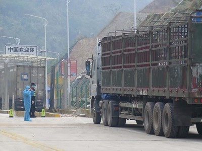 Ảnh chỉ có tính minh họa. (Ảnh: Quang Duy/TTXVN).