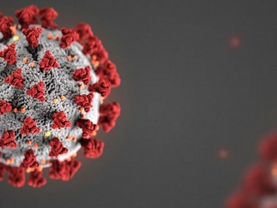 Đồ họa mô phỏng nCoV. Ảnh: CDC.