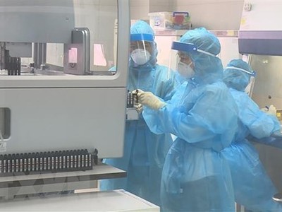 Xét nghiệm sàng lọc mẫu bệnh phẩm của các trường hợp nghi ngờ đến từ vùng dịch COVID-19 tại Trung tâm kiểm soát bệnh tật thành phố Hà Nội. (Ảnh: TTXVN phát).