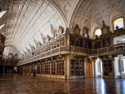 Đàn dơi bảo vệ sách cổ trong thư viện 300 năm tuổi