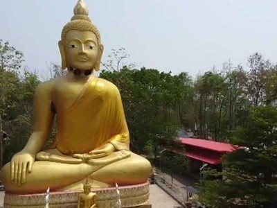 Đàn ong làm tổ dưới cằm tượng Phật cao 16 mét