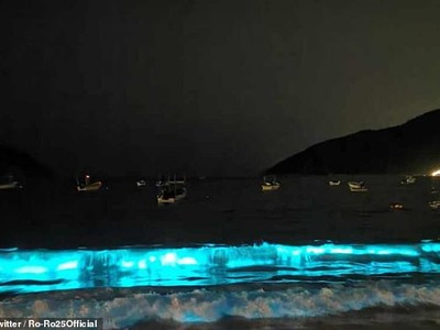 Bờ biển thuộc vịnh Puerto Marqués, bang Guerrero, Mexico bỗng nhiên rực sáng.