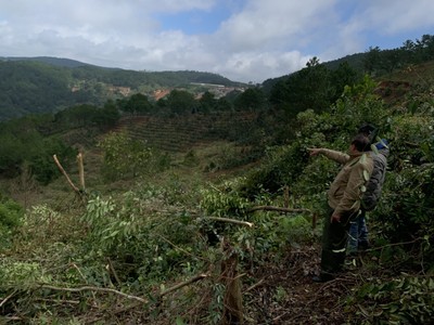 Để xảy ra sai phạm trong quản lý rừng nguyên Giám đốc Sở NN- PTNT tỉnh Lâm Đồng bị khởi tố.