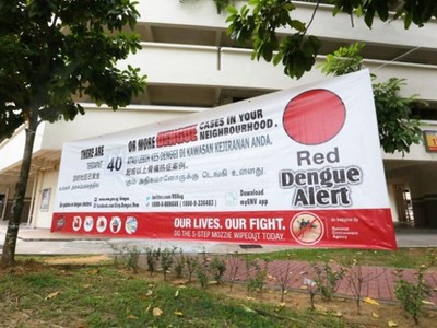 Áp phích nhắc nhở người dân về dịch sốt xuất huyết tại Singapore. (Ảnh: The Straits Times).
