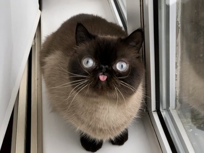 Kiểu tạo dáng chụp ảnh dễ thương của Ikiru.