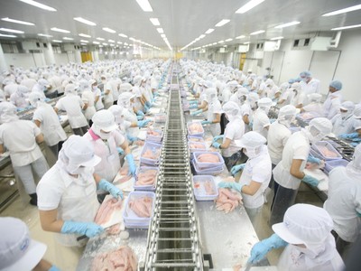 Cổ phiếu thủy sản nổi sóng