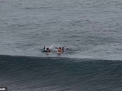 Hình ảnh con cá mập vẫn lượn lờ xung quanh khi 2 người đang chèo vào bờ.