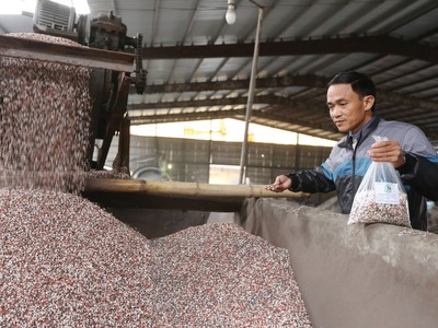 Doanh nghiệp phân bón chờ gỡ khó về thuế 