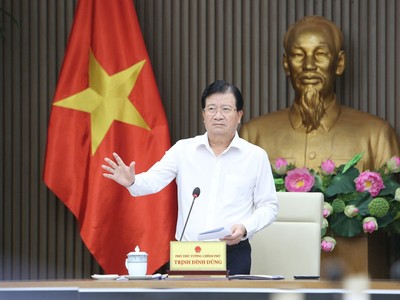 Phó Thủ tướng Trịnh Đình Dũng, Trưởng ban Ban Chỉ đạo Trung ương Chương trình mục tiêu quốc gia xây dựng NTM.