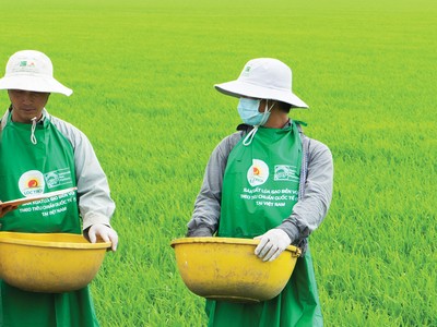 Gia nhập chuỗi sản xuất, bài toán lớn cho doanh nghiệp hậu Covid