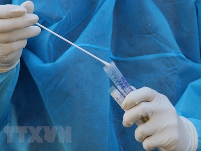 (Ảnh minh họa: TTXVN/Vietnam+).