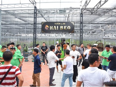 Buổi lễ cũng ra mắt vườn lan Special Garden, nơi lưu giữ, bảo tồn và trưng bày khoảng 40 giống lan quý hiếm trên cả nước.