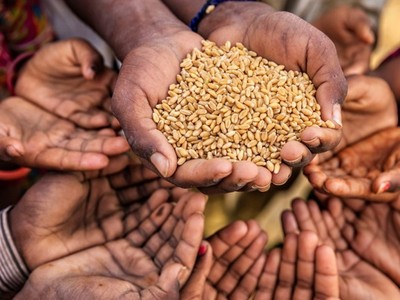 Chiến tranh và dịch bệnh làm cho an ninh lương thực thành vấn đề lớn trong năm 2019. Ảnh: News24.