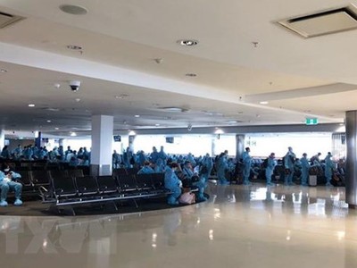 Các công dân Việt Nam làm thủ tục tại sân bay. (Ảnh: TTXVN phát).