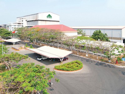 Bên cạnh việc đầu tư vào các công ty có liên quan, Thành Thành Công đầu tư vào nhiều cổ phiếu khác.