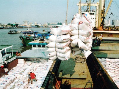 Hoạt động xuất khẩu gạo thuận lợi trong bối cảnh dịch Covid.