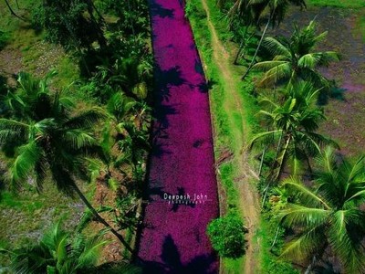 Ảnh nguồn: Deepesh John