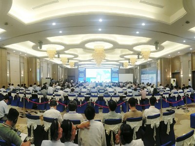 Nguyên tắc “thuận thiên” và “không hối tiếc” khi xây dựng Quy hoạch Đồng bằng sông Cửu Long