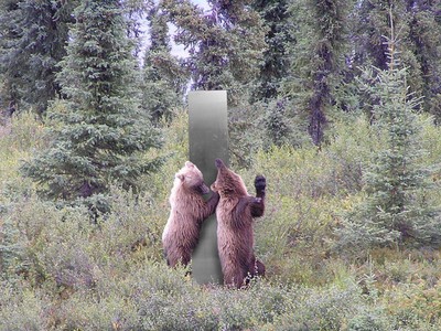 Ảnh: National Park Service.