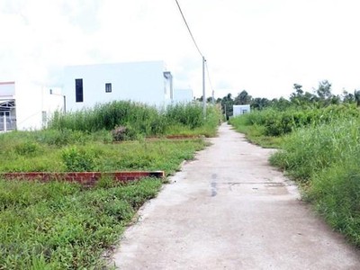 Ảnh minh họa. (Nguồn: TTXVN).