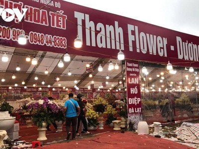 Các điểm chợ hoa Xuân Hà Nội hoạt động từ ngày 10 đến 30 Tết.