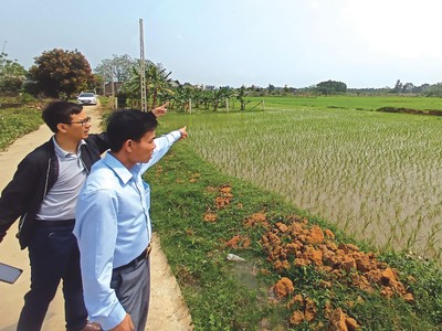 Môi giới dẫn khách hàng xem đất tại khu vực Đồng Trúc - Thạch Thất. Ảnh: Dũng Minh.