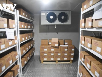 Lô vaccine phòng COVID-19 Việt Nam tiếp nhận từ COVAX Facility, với sự hỗ trợ của UNICEF, WHO, GAVI và CEPI. (Ảnh: Văn Ngân/VOV.VN).