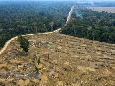 Một khoảng rừng Amazon bị thiêu rụi ở gần Porto Velho, bang Rondonia, Brazil, ngày 24/8/2019. (Ảnh: AFP/TTXVN).