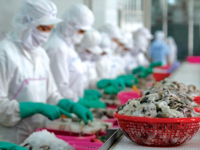 Sau một năm khó khăn chồng chất, triển vọng kinh doanh của các doanh nghiệp ngành thủy sản chưa sáng hơn.