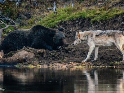 Ảnh nguồn: Seth Royal Kroft.