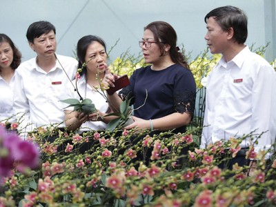 Agribank tích cực góp phần phát triển nông nghiệp bền vững gắn với xây dựng nông thôn mới.