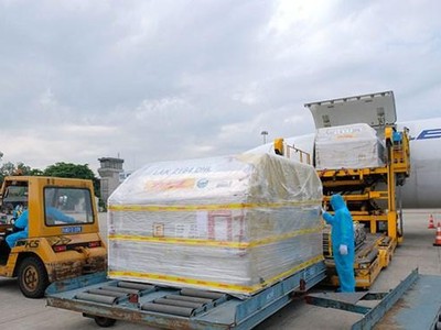 Bộ Y tế đã tiếp nhận lô vaccine phòng COVID-19 Comirnaty của Pfizer/BioNtech đầu tiên về Việt Nam. (Ảnh: PV/Vietnam+).