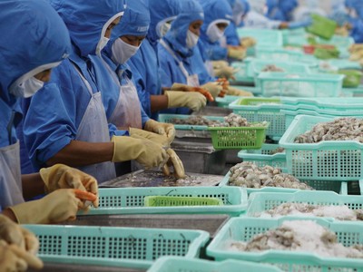 Nhu cầu về thực phẩm chế biến sẵn và đóng gói được dự báo sẽ tiếp tục tăng.