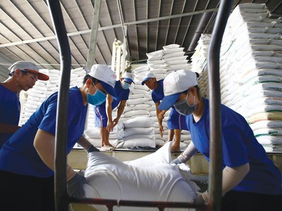 Dịch bệnh Covid-19 bùng phát làm đứt gãy chuỗi cung ứng xuất khẩu lúa gạo.