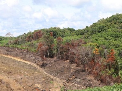 Ảnh minh họa. (Nguồn: TTXVN).