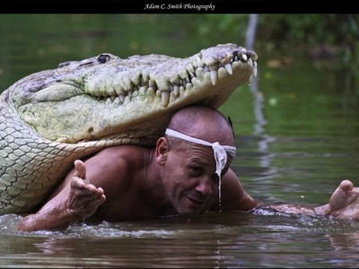 Chuyện lạ người đàn ông kết bạn và bơi cùng cá sấu khổng lồ trong suốt 23 năm
