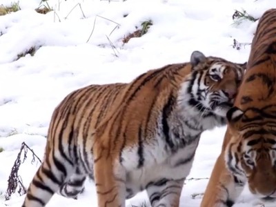 Và nếu có lúc trái tim anh từng yếu đuối...