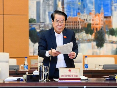 Trưởng ban Dân nguyện Dương Thanh Bình.