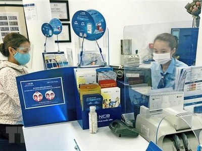 (Ảnh minh họa: Trần Việt/TTXVN)