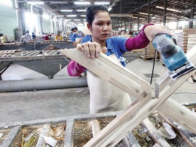 Sau nhiều năm tái cơ cấu, Gỗ Trường Thành đang bị nghi ngờ khả năng hoạt động liên tục.