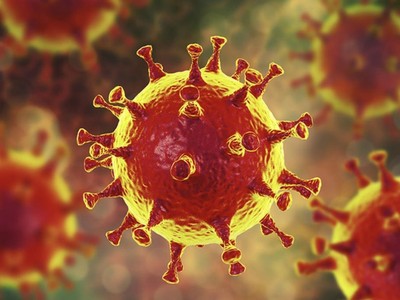 Virus corona có nhiều loại, có những loại cực kỳ nguy hiểm như SARS-CoV-2, cũng có những corona gây cảm lạnh thông thường. (Ảnh minh họa: Internet)